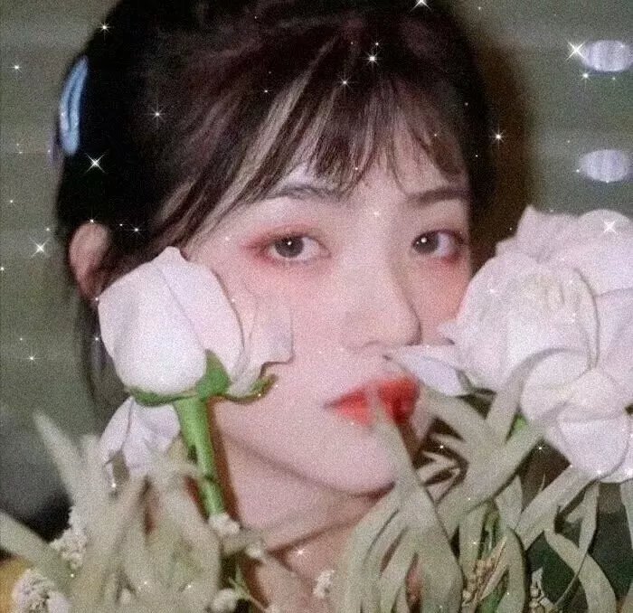 弦动我心